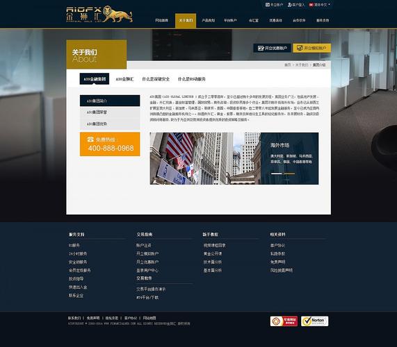 金融类型(贵金属外汇)网站设计
